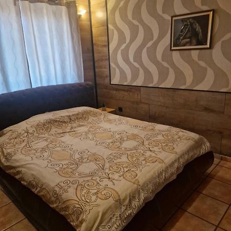 Guest House Maja Novi Sad Esterno foto