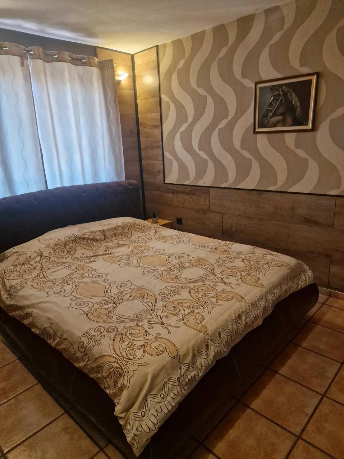 Guest House Maja Novi Sad Esterno foto